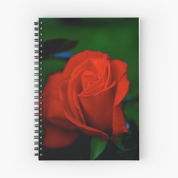 Item preview, Red Rose w/ dew... designed and sold by Allan  Erickson.