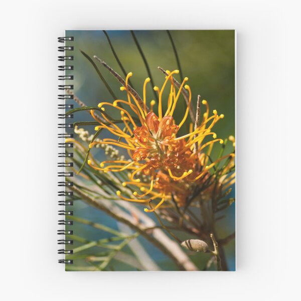 Item preview, Golden Grevillea I designed and sold by kwill.