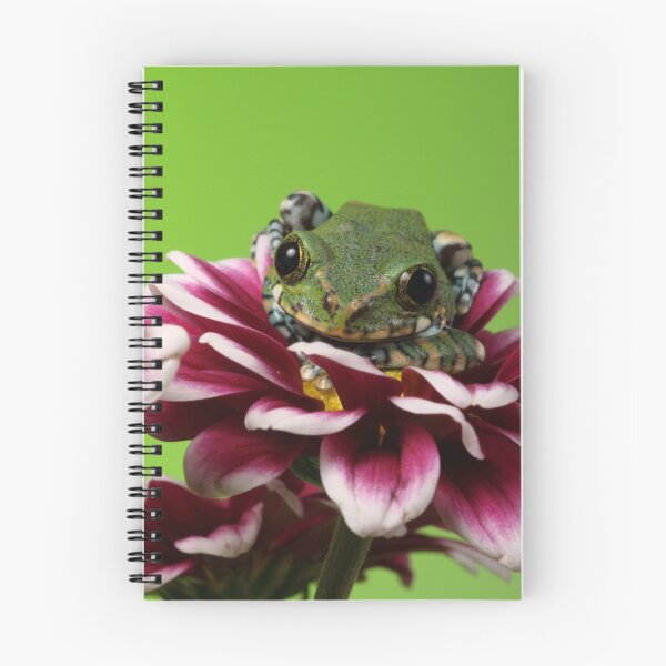 Artikelvorschau, Peacock Tree Frog entworfen und verkauft von Adam Webb.