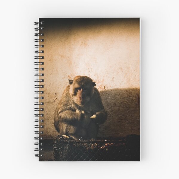 Item preview, Captive designed and sold by C. & L. | Photography & Artworks.