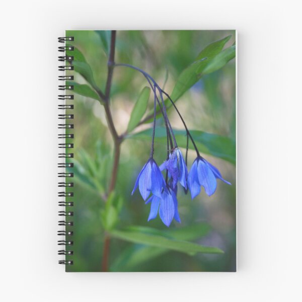 Item preview, Australian Bluebell designed and sold by pennyswork.