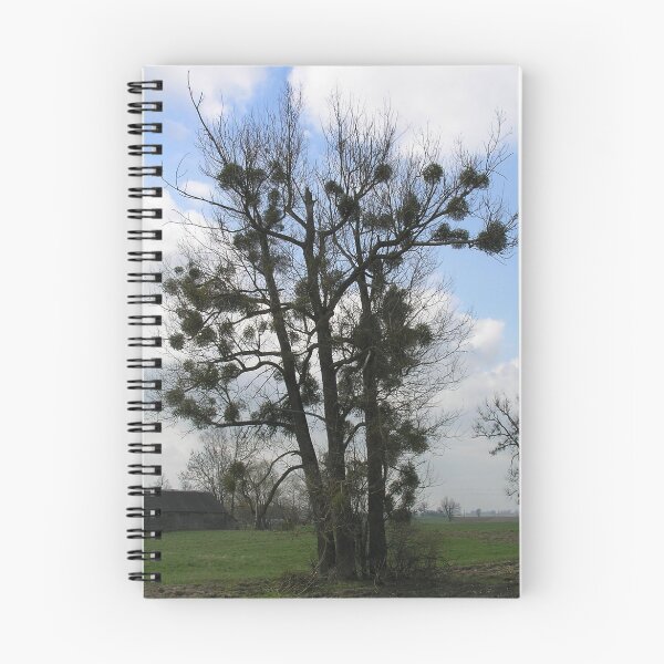 Item preview, Tree of XXI century designed and sold by Antanas.