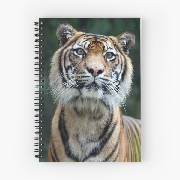 Item preview, Tiger eyes designed and sold by Kelly Robinson.