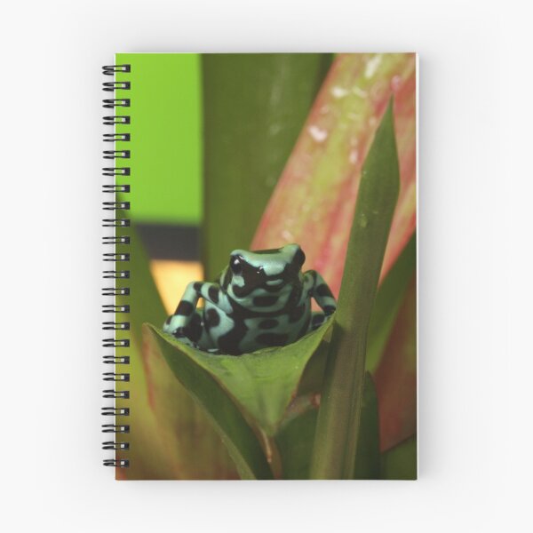 Item preview, Dendrobates Poison Dart designed and sold by Adam Webb.
