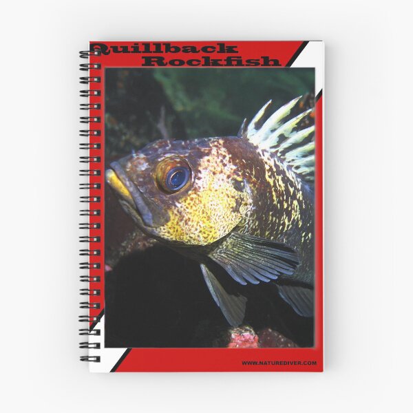 Item preview, Quillback Rockfish Scuba Diving - shirt designed and sold by naturediver.