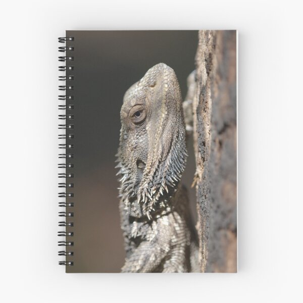 Item preview, Eastern Bearded Dragon designed and sold by Andrew Trevor-Jones.