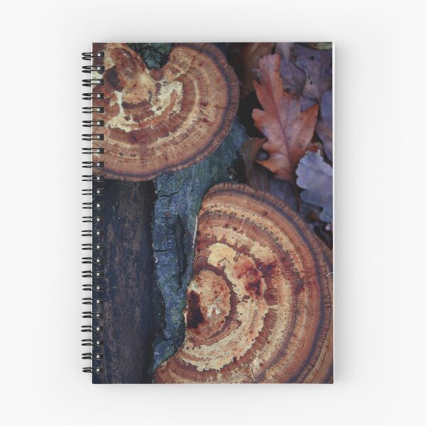Item preview, Natural art designed and sold by i l d i    l a z a r.