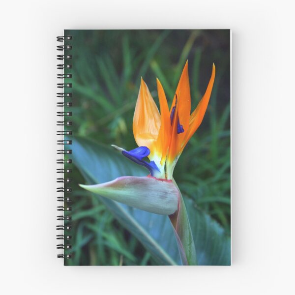Item preview, Bird of paradise designed and sold by Rhonda  Thomassen.