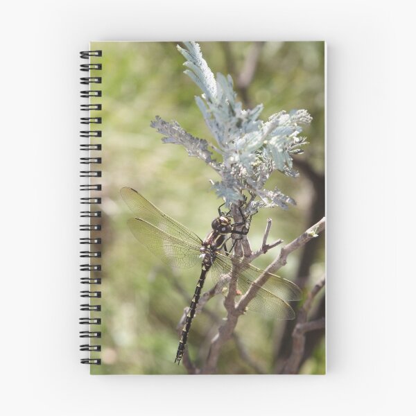 Item preview, Southern Riffle Darner designed and sold by Norman Mueller.