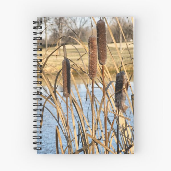 Item preview, Pond Side Cattails designed and sold by kenspics.