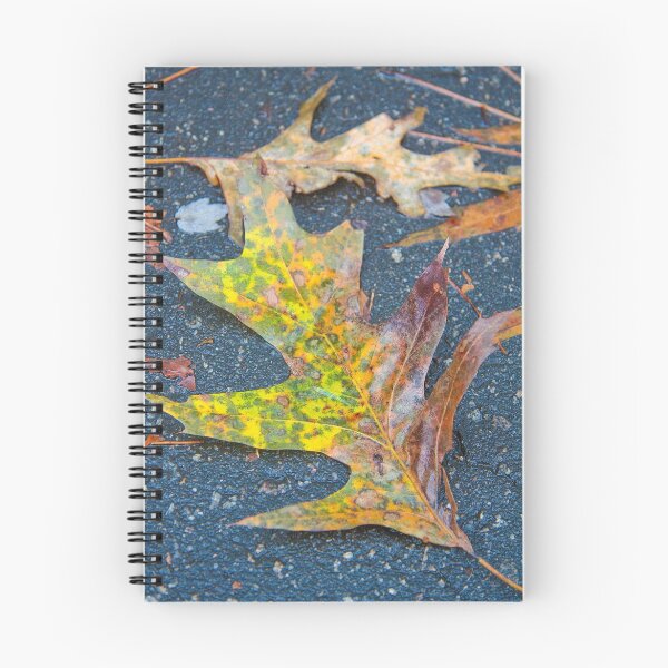 Item preview, Fall Series designed and sold by Wendy Mogul.