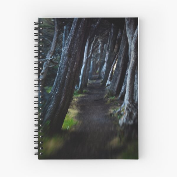 Item preview, Walking Path designed and sold by Jon Yager.
