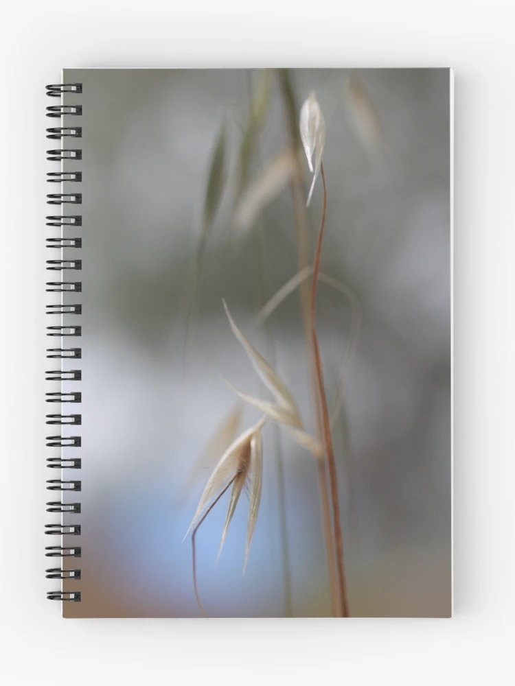Thumbnail 1 of 3, Journal, december designed and sold by Ryleigh.