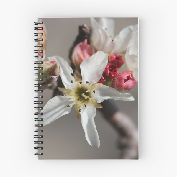 Item preview, Flor de primavera designed and sold by Bubblefrog73.