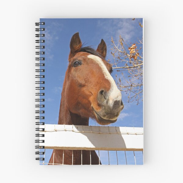 Item preview, Thoroughbred Horse Peeking Out over the Fence designed and sold by caqphotography.
