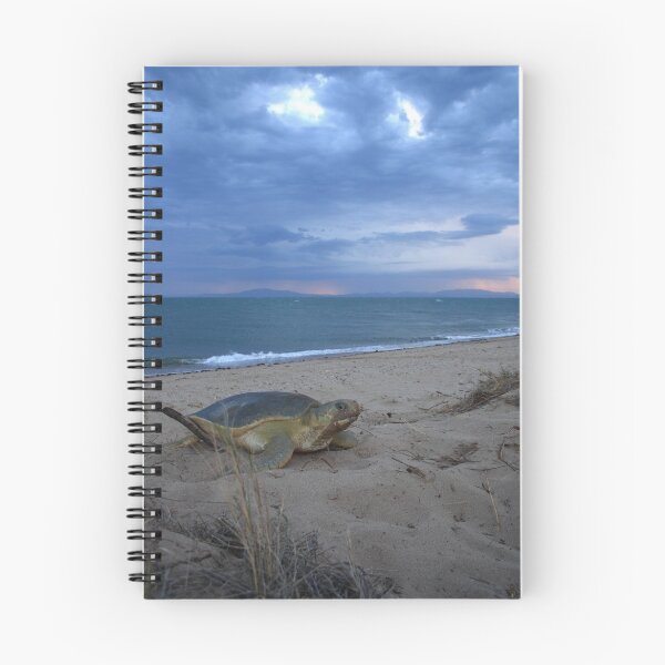 Item preview, The Journey designed and sold by Matt  Harvey.