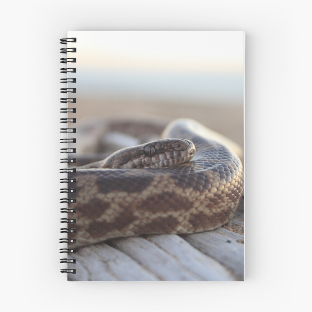 Item preview, Spiral Notebook designed and sold by MattyHarvey.