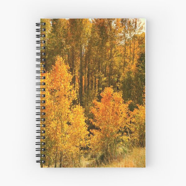 Item preview, "Sierra Aspens" designed and sold by Lynn Bawden.
