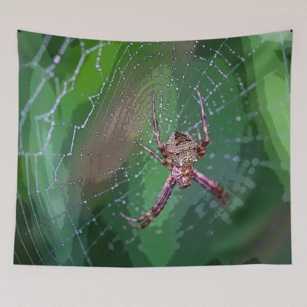 Item preview, Gea heptagon Orbweaver Spider designed and sold by WanderingMogwai.