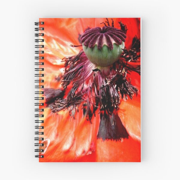 Item preview, Wild series;Orange Poppy  flower X!... designed and sold by sendao.