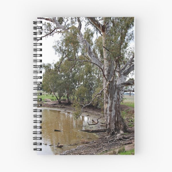 Item preview, Eucalyptus On The Murray designed and sold by Joanna Beilby.