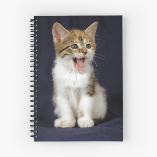 Aperçu de l'œuvre Spotty Kitty créée et vendue par ImageMind.