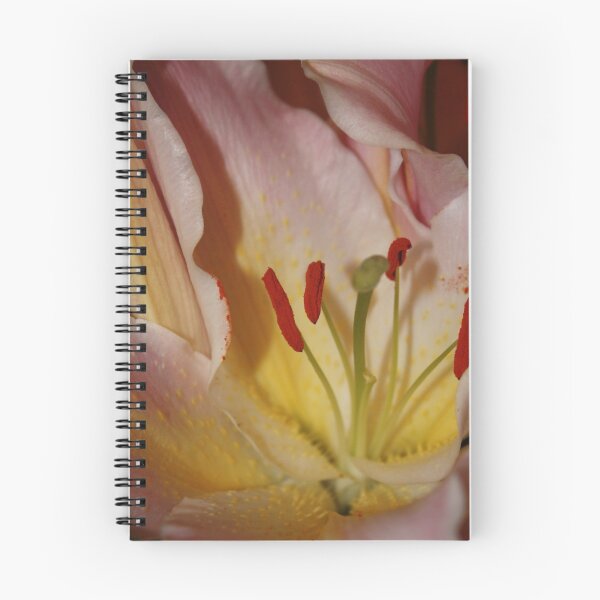 Item preview, For You designed and sold by AlexMac.