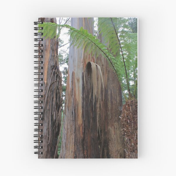 Item preview, Stringy Bark and Tree Fern designed and sold by Joanna Beilby.