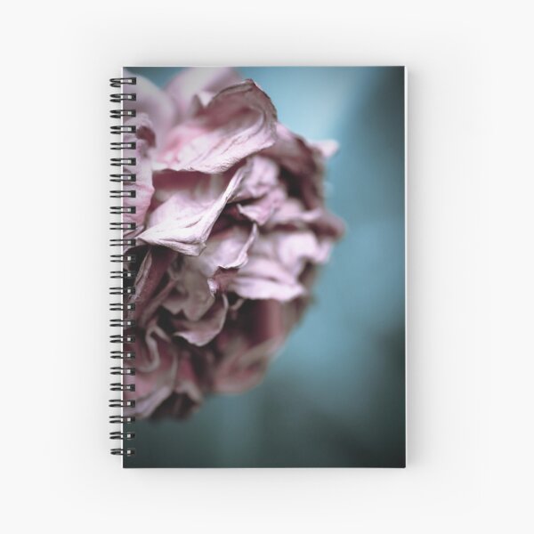 ...there came a time when it all became clear... Spiral Notebook