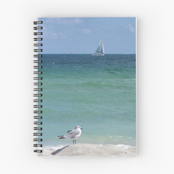 Item preview, Florida Beach Seagull designed and sold by aquamotion.