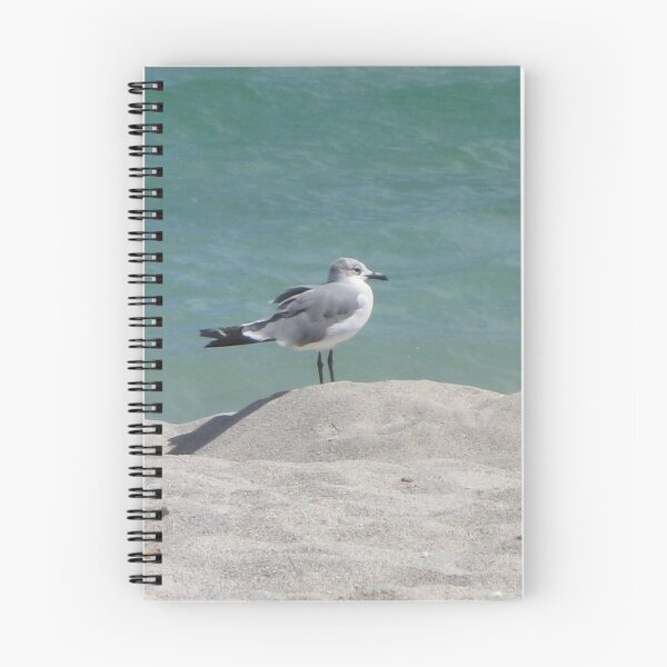 Item preview, Florida Beach Seagull designed and sold by aquamotion.