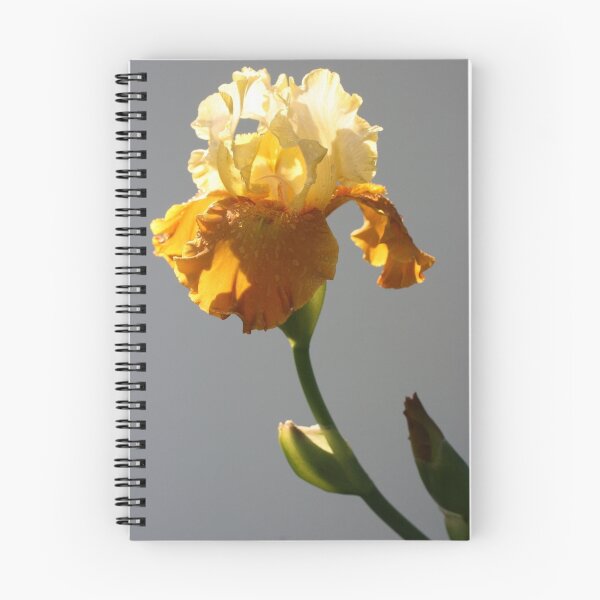 Item preview, Golden Iris designed and sold by soonywarren.