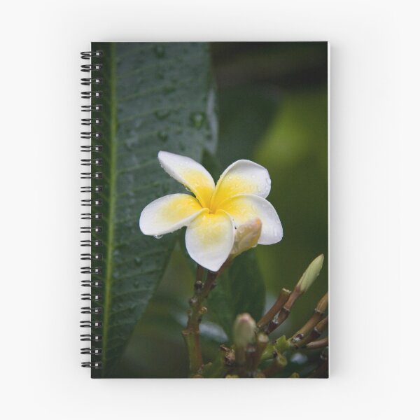 Item preview, Frangipani  designed and sold by Patricia Gibson.