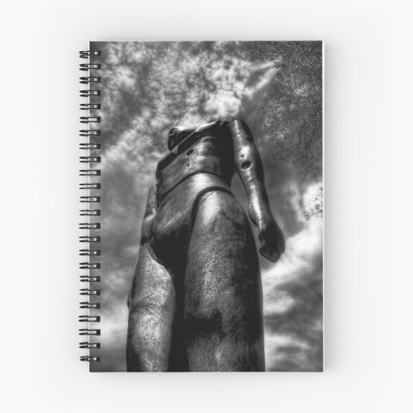 Item preview, Sculpted Black & white designed and sold by Rob Beckett.