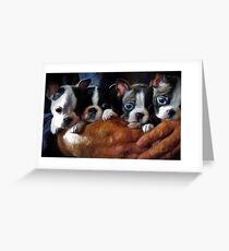 Safe In The Arms Of Love - Puppy Art Greeting Card