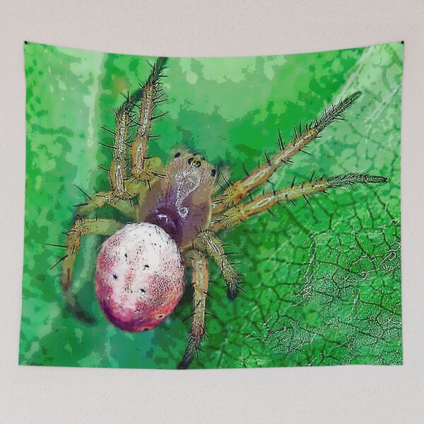 Item preview, Six Spotted Orbweaver - Araniella displicata designed and sold by WanderingMogwai.