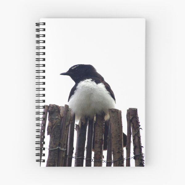 Item preview, Willy Wagtail designed and sold by Tamara  Kenneally.