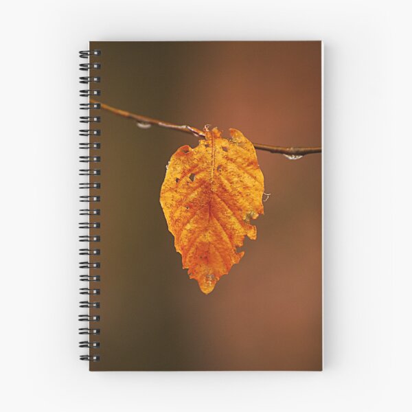 Aperçu de l'œuvre Autumn leaf 1 créée et vendue par Ian Maclellan.