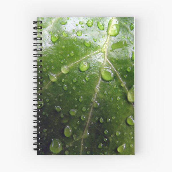 Item preview, Waterdroplets on green leaf designed and sold by JohnKarmouche.