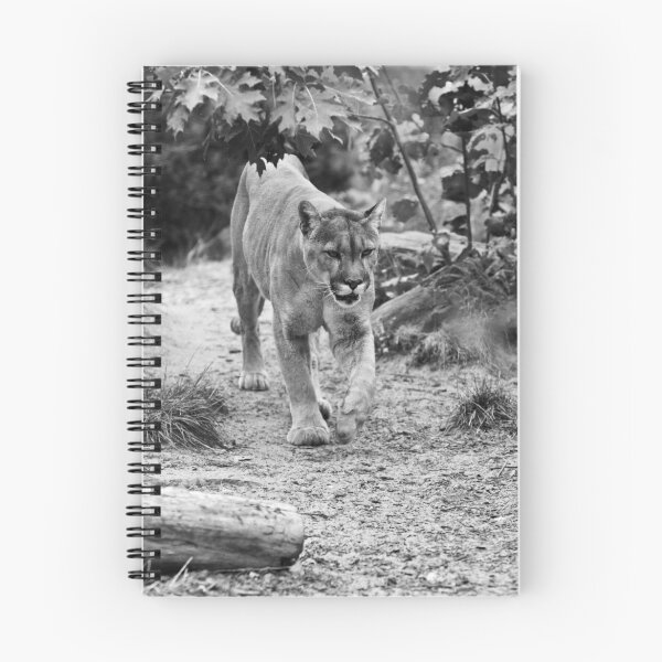Item preview, Nice Kitty designed and sold by Edward Myers.