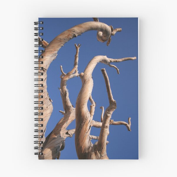 Item preview, Twisted Trees designed and sold by ChrisSinn.