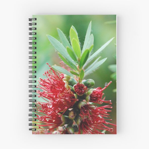 Item preview, Red Bottle Brush designed and sold by MissyD.