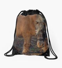 Winter Pony Drawstring Bag