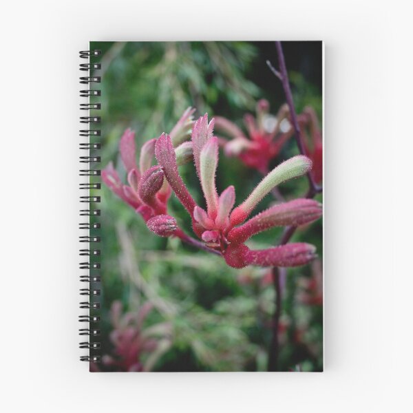 Item preview, Albany Red Kangaroo Paw designed and sold by pennyswork.