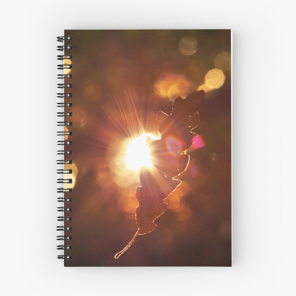 Item preview, Spiral Notebook designed and sold by FraserJ.