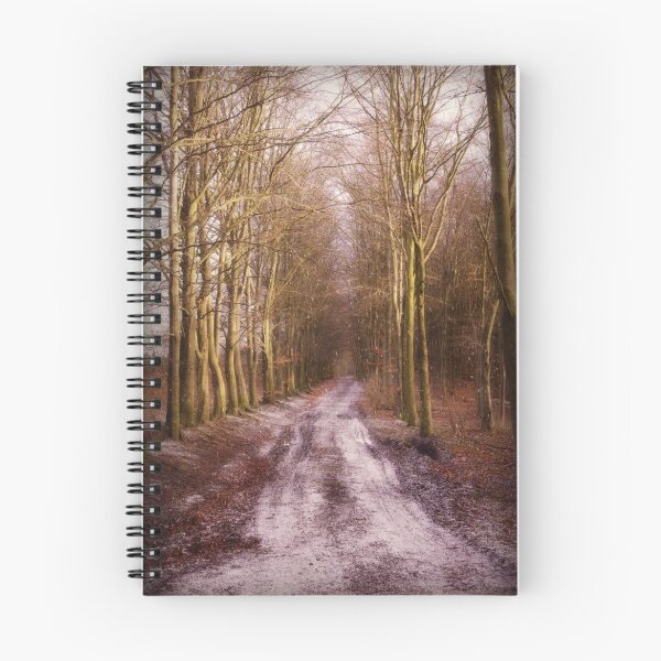 Item preview, DECEMBER  PATH designed and sold by j.p. Howley.