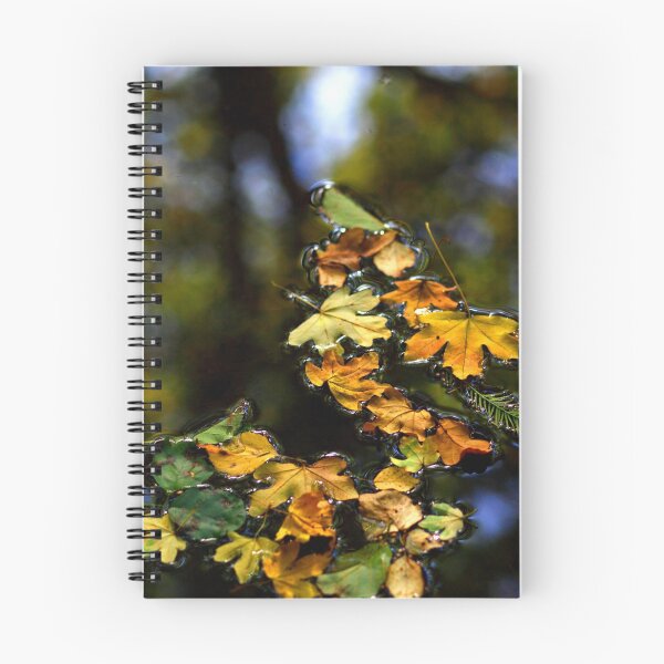 Item preview, Fallen Leaves designed and sold by Man kit Wong.