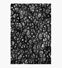 Neuron pattern Photographic Print