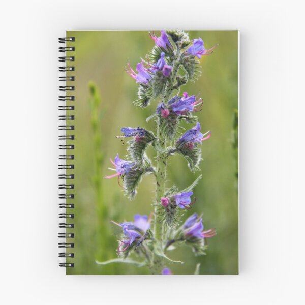 Item preview, Borage Blue designed and sold by coffeebean.