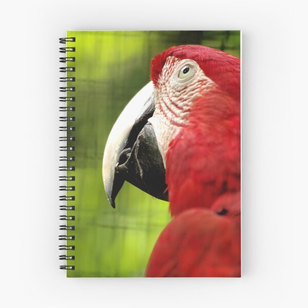 Item preview, Thoughts of Freedom designed and sold by Tamara  Kenneally.